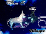 ANIMALLOVER