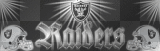 raiderz
