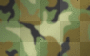 army
