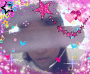 Animated Picture
