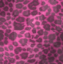 leopord