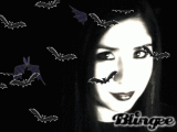 Bats