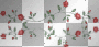 rosewater