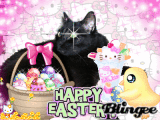 easter kitty