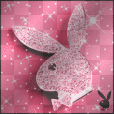 Playboy bunny
