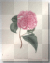 love flower
