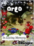 oreo