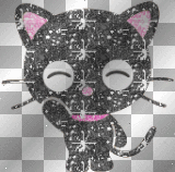 Punky Cat