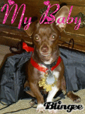 Brownie