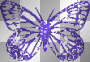 Blue Butterfly