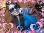 PRINCESSANA