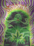 trippy