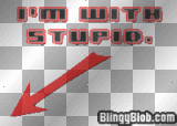 I'm With Stupid