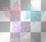 butterflys blue pink && purple