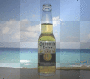 Corona beer