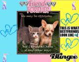 Friends Forever!!! (For Taylor!!!)