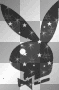 Playboy Sparkle