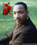 Dr.King