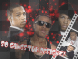 Bow Wow