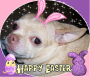 Easter 22