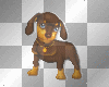 barking dog