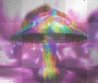 colorful shroom