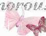 butterflies