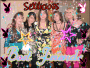 bst budz