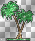 Palm Trees