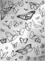 Butterflys