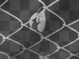 abstract background dark night fence