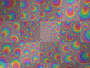 Trippyyyy