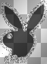 Black & Diamond Playboy Bunnny