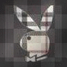 Playboy