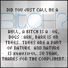 Did you call me a Bitch??
