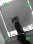 LIL GEE GEE 2 DOPE 