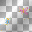 butterfly butterfly