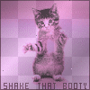 kittie