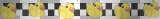 Checkered Duck Border