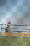 jumping horse