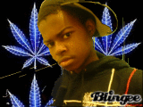 triggaz