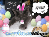 Happy Easter from spookie