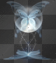 butterfly prism
