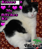 kitty