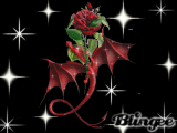 Dragon Rose