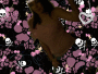 tinkerbell_aka_baby