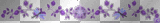 purple wiccan  divider
