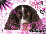 Pinky RuTA ♪♪ Pinky RuTA ♪♪
