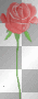 Red Rose