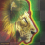 tricolor lion